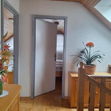 Apartmaji Marinka Hodnik 博希尼 外观 照片