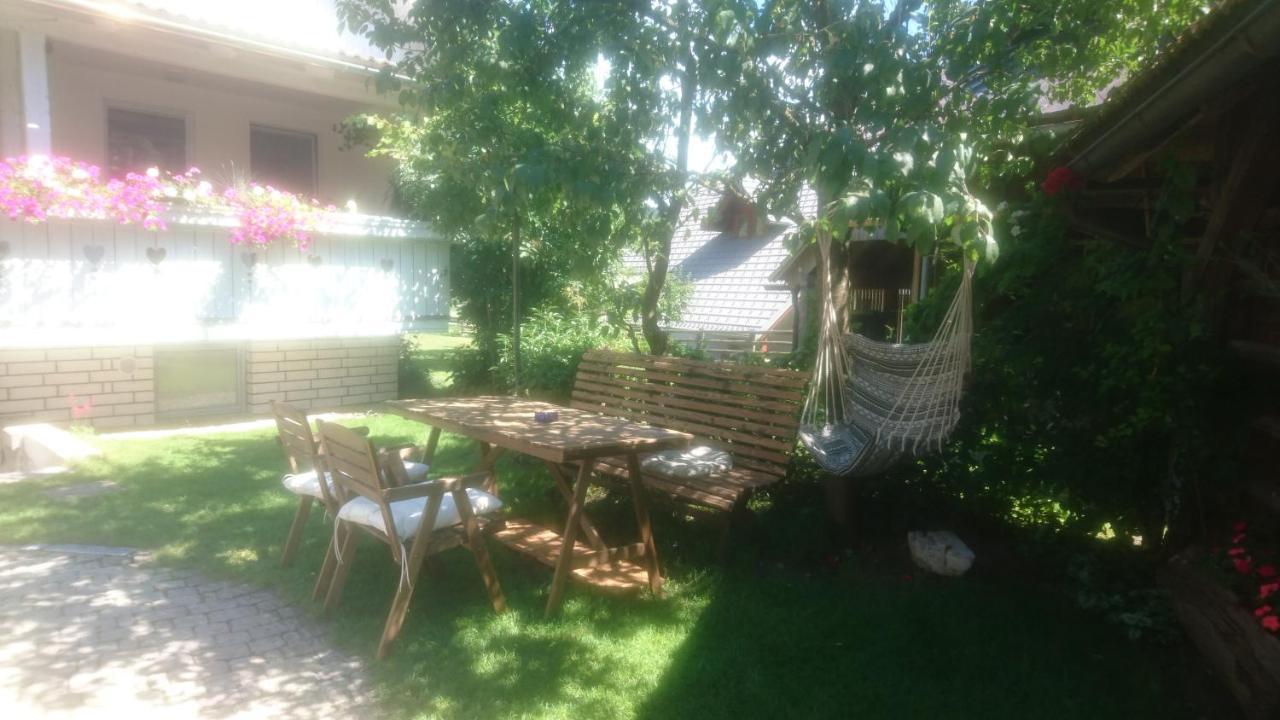 Apartmaji Marinka Hodnik 博希尼 外观 照片
