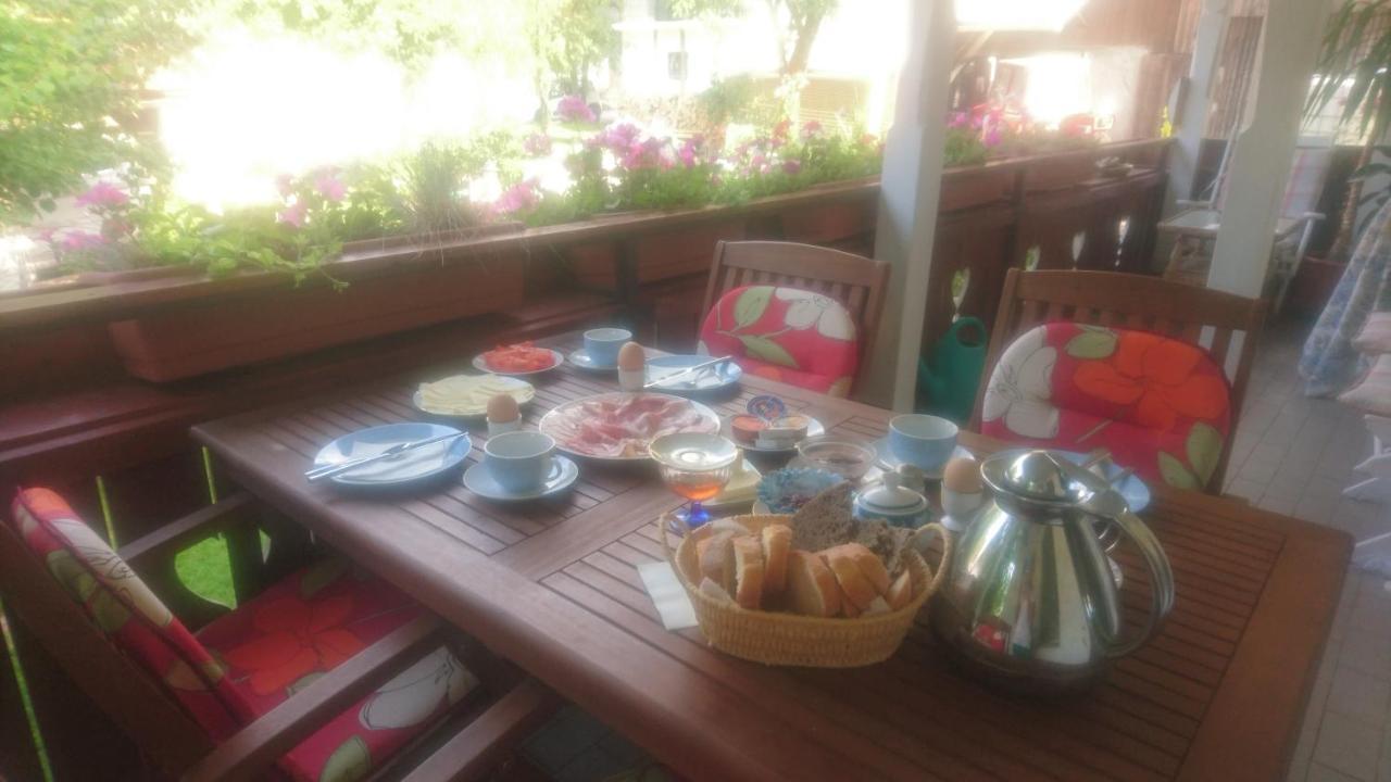 Apartmaji Marinka Hodnik 博希尼 外观 照片