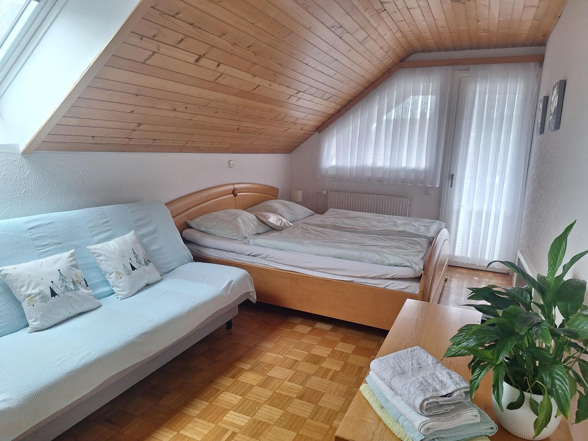 Apartmaji Marinka Hodnik 博希尼 外观 照片