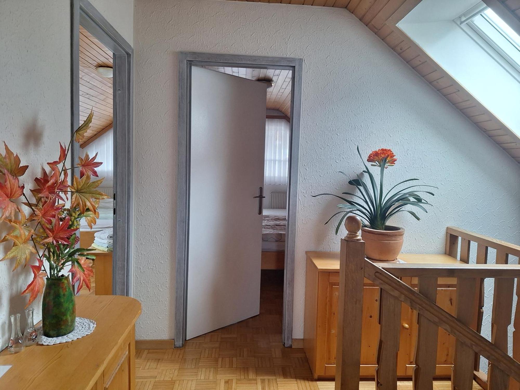 Apartmaji Marinka Hodnik 博希尼 外观 照片