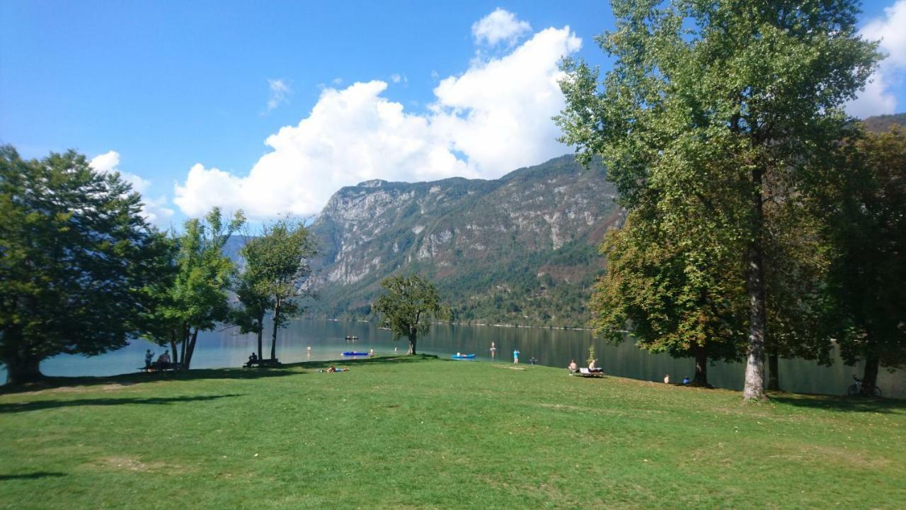 Apartmaji Marinka Hodnik 博希尼 外观 照片