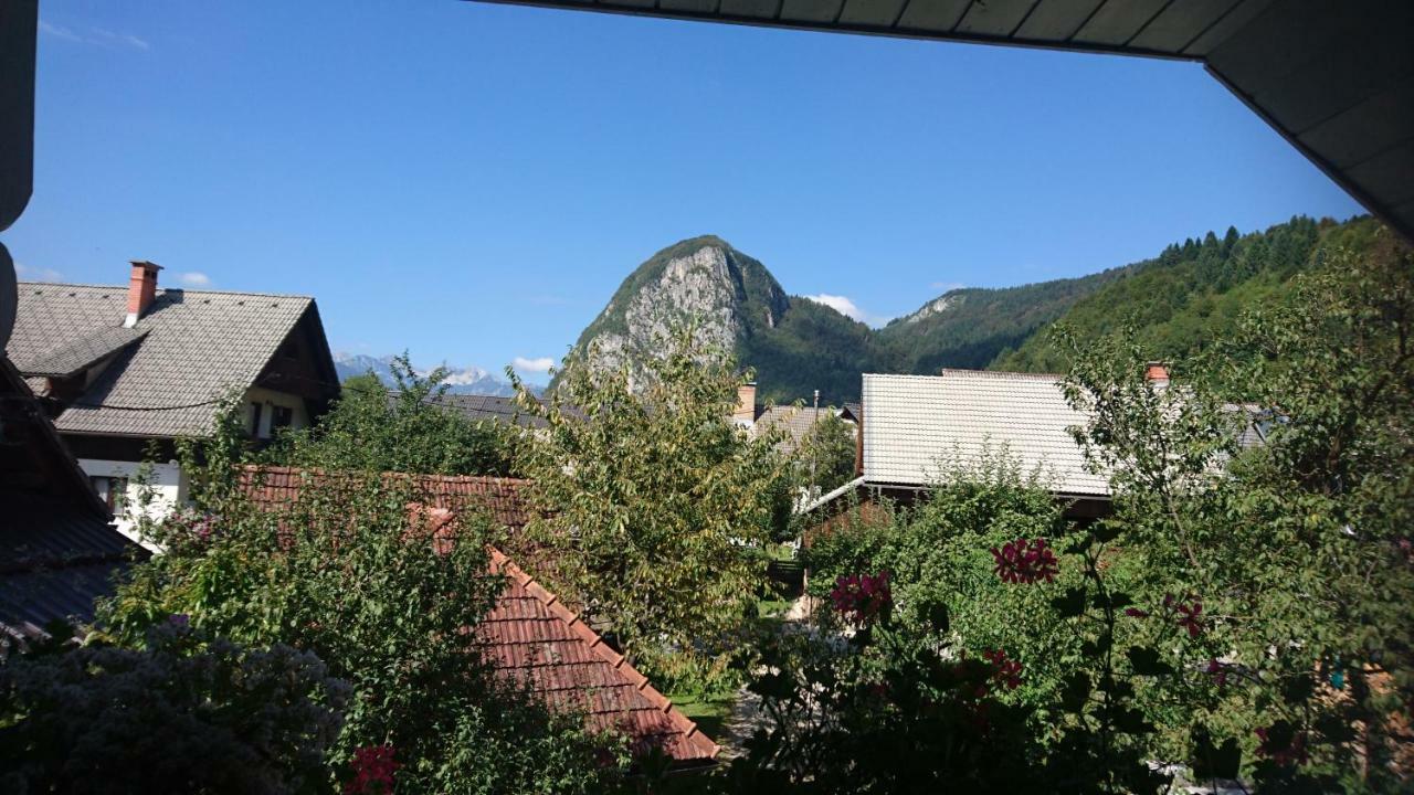 Apartmaji Marinka Hodnik 博希尼 外观 照片